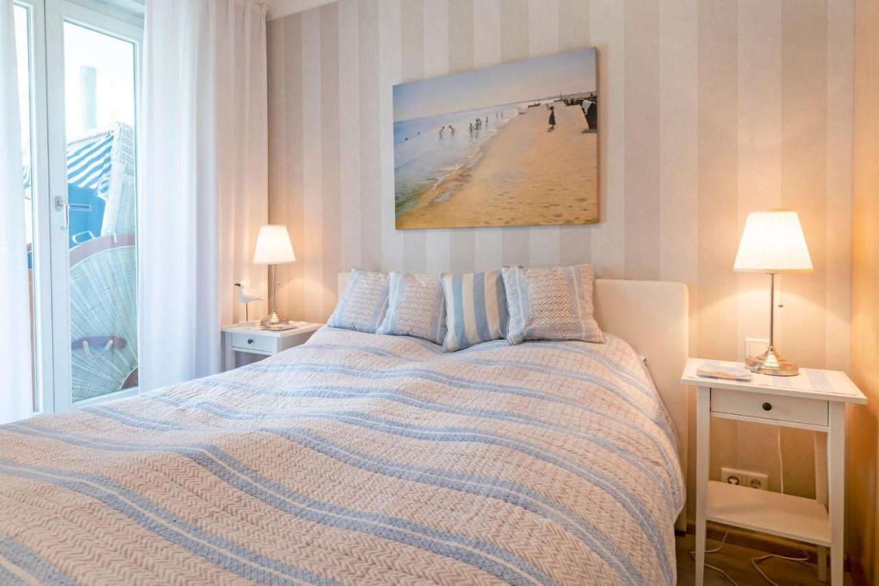Seestr_54 Nr_304 زنغست المظهر الخارجي الصورة